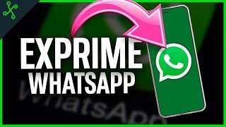 WHATSAPP GUIA y TRUCOS para usar al 100 [upl. by Vevine]