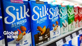 Silk Great Value plantbased milks recalled in Canada for potential Listeria contamination [upl. by Eliades]