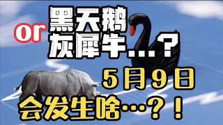 ❓ 💥5月9 日，会发生啥 黑天鹅，还是 灰犀牛 —第783期 [upl. by Avonasac]