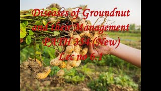 Diseases of Groundnut and their Management PATH 354 New Lec no 61 [upl. by Irrab]