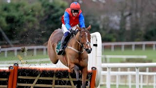 2023 Supreme Best Bets  Cheltenham Preview Night [upl. by Kcirtapnhoj]