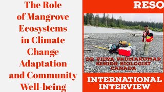 The Role of Mangrove Ecosystems in Climate Change Adaptation and Community Wellbeing [upl. by Corbet]