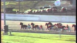 1981 NZ Trotting Championship  Addington Christchurch No Response [upl. by Talbott998]