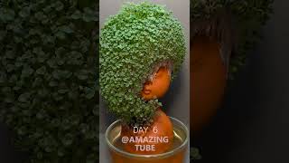 Growing Chia Seeds  timelapse chiapet [upl. by Lihas]