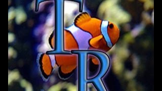 Oceanic BioCube 14gal Setup Modification Tips [upl. by Ailegna721]