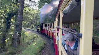 Vale of Rheidol Railway no 8 Llywelyn September 2024 from the train [upl. by Zehcnas]