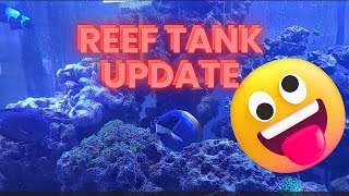 Reef Tank Update [upl. by Stein]