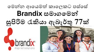 Brandix Job Vacancies 2024  Latest Career Opportunities in Sri Lankas Leading Apparel Industry [upl. by Pelpel280]