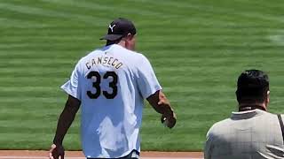 Jose Canseco Throwing Out First Pitch 7202024  Jose Canseco Bobblehead Giveaway Day [upl. by Trebeh833]