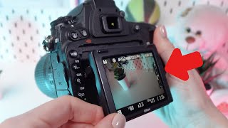 How to Use LCD Screen on Nikon D750 Mastering Display Functions [upl. by Ardnohsal]