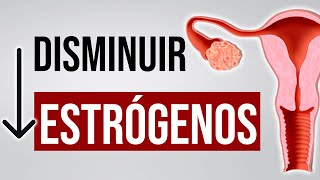 ⬇️Cómo disminuir tus niveles de ESTRÓGENOS Hiperestrogenismo en las mujeres [upl. by Ahsienel649]