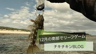 12月の南部でリーフゲーム［沖縄 ルアー釣り］沖縄 ルアー釣り 釣り fishing イシミーバイ ムラサメモンガラ イソゴンベ [upl. by Attej445]