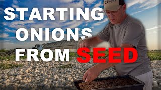 Starting Onions from Seed [upl. by Callan]