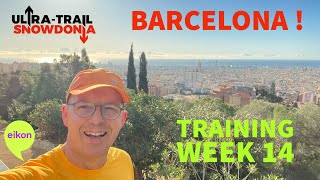 Training Week 14 for my 55km 3300 trail run at Ultra Trail Snowdonia by UTMB [upl. by Hgiel]