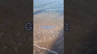 🔵Gongyo 1 [upl. by Ranice]