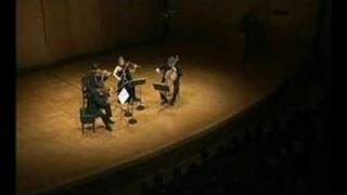 Henschel Quartet live in Tokyo  Janacek Kreutzersonata 3 [upl. by Haneehs538]