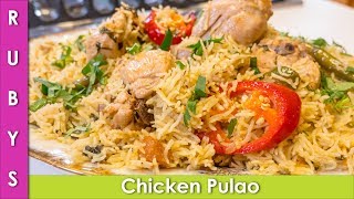 Chicken Pulao Recipe in Urdu Hindi  RKK [upl. by Oicatsana879]