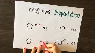 Free radical substitution Cyclopentane [upl. by Sorcim]