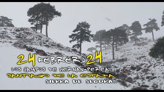 24Feb24 Campos Hernan Perea [upl. by Eimor]