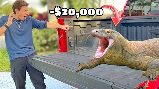 I bought 20000 lizards For My Zoo [upl. by Ahtilat]