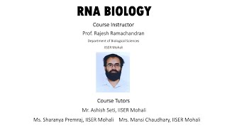 RNA as Enzymes Structure and Functions [upl. by Sheelagh]