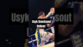 Usyk vs Bellew KNOCKOUT Full Fight Highlights fighthighlights usyk tonybellew knockout [upl. by Iny830]