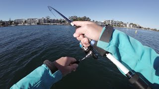 Winter On The Noosa River  Trevally Jewfish [upl. by Kent211]