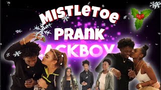 MISTLETOE PRANK [upl. by Annahgiel]