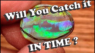 Stop Your Opals From Cracking Here’s How [upl. by Monafo]