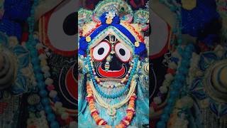 ଭାରି ଛନ୍ଦା ଛନ୍ଦି  New Odiya Vajana Jaganatha Vajana Shots Partha K Vlog [upl. by Elyrehc]