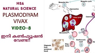 പ്ലാസ്മോടിയം വിവാക്സ്കൺഫ്യൂഷൻ മാറ്റാം 👍HSA NATURAL SCIENCEKTET 3SET [upl. by Na]