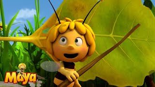 The leaves are in the way  Maya the Bee🐝🍯🐝 [upl. by Atiekahs]