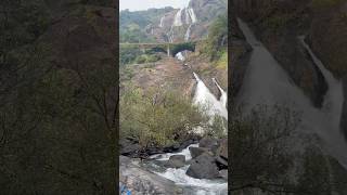 Dudhsagar waterfall in Goa ⛲️🏖️🏖️ shorts travel waterfall goa india [upl. by Gnoud]