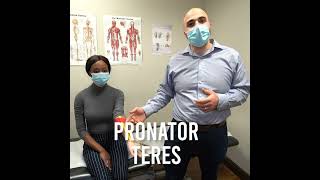 Pronator Teres Syndrome Treatment explained by Dr Pichini Revitamax Rehab Rexdale Etobicoke Malton [upl. by Gurtner]