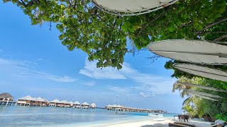 Maldives🌊 Adaaranprestigevadoo resort tour roomtour [upl. by Westberg]