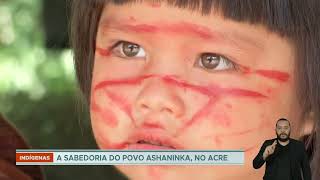 Ashaninka semeadores de floresta crianças recebem aprendizado especial nas escolas [upl. by Yeslaehc751]