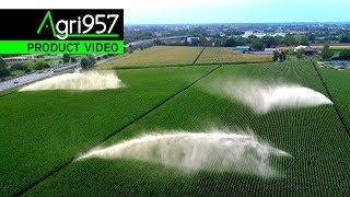 3 HOSE REEL SPRINKLER IRRIGATION in CORN  CASELLA Machines  3 IRRIGATORI A PIOGGIA CASELLA su MAIS [upl. by Ahtelra486]