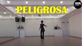 Peligrosa Line DanceBeginner [upl. by Eemla181]