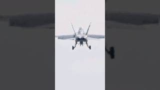 FA18E Super Hornet Landing nasoceana  Virginia 6May24 f18Esuperhornet superhornet usn [upl. by Solhcin]