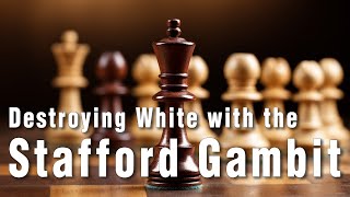 Stafford Gambit Masterclass Crushing Traps for Black Players [upl. by Ardnas515]