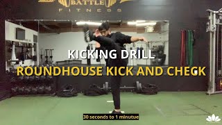 Kicking Drill  Improve the Roundhouse Kick [upl. by Halima]