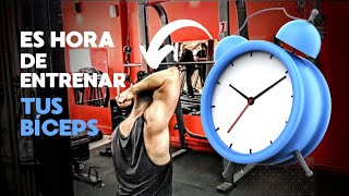 Bíceps workout 💥‼️ motivation biceps workout training gym fitness like [upl. by Amlus725]