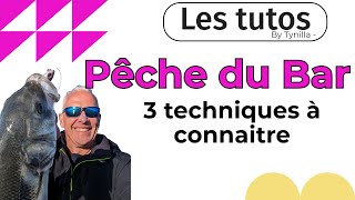 3 TECHNIQUES de base pour PÊCHER le BAR  Théorie et Pratique sur une journée festival de Bars [upl. by Hump]