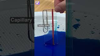 Creating Parabolic Curves The Art of Capillary Action sciencefun [upl. by Octavla]