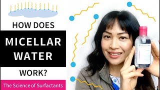 How Does Micellar Water Work The Science of Surfactants  Lab Muffin Beauty Science [upl. by Tansy]