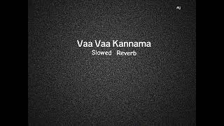 Vaa Vaa Kannama  slowed reverb [upl. by Otreblide]