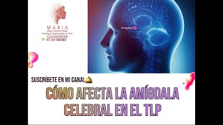 CÒMO AFECTA LA AMÍGDALA CEREBRAL EN EL TLP [upl. by Menides]