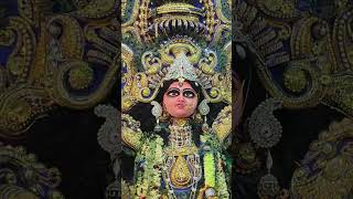 Jagadhatri Puja Parikrama 2024 Sarberia Saha para Grambasi brinda jagatdhatripuja sarberia [upl. by Dnyletak481]