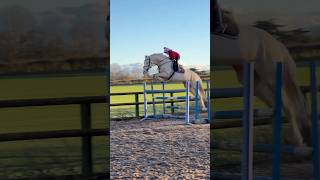 He still jumps it like a pole says Ivy 🤣 horse showjumping equestrian horseriding horsegirl [upl. by Issac]