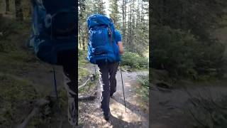 Hiking the Canadian Rockies shorts [upl. by Mcgrath]